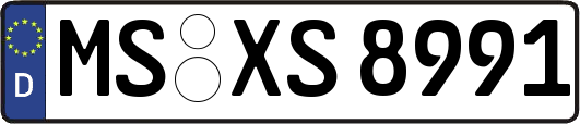 MS-XS8991