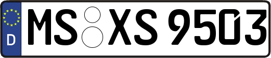 MS-XS9503