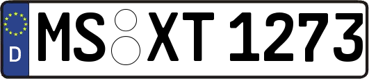 MS-XT1273