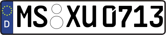 MS-XU0713