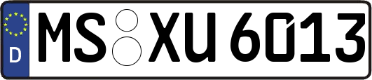 MS-XU6013