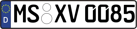 MS-XV0085