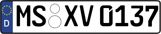 MS-XV0137