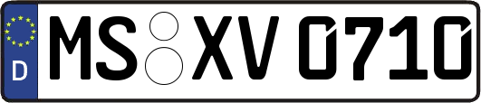 MS-XV0710