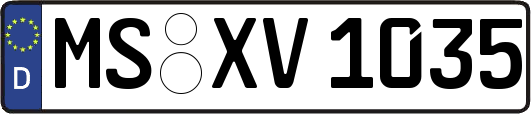 MS-XV1035