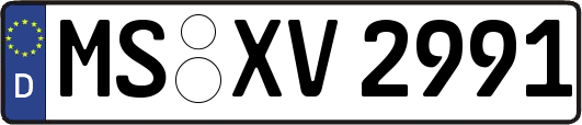 MS-XV2991