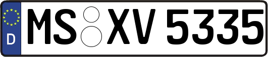 MS-XV5335