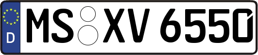 MS-XV6550