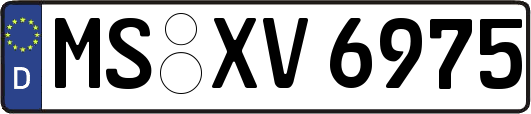 MS-XV6975
