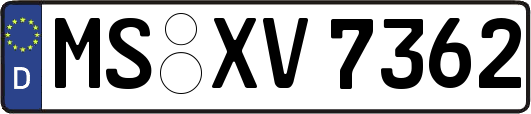MS-XV7362