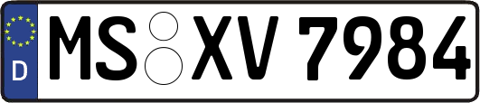 MS-XV7984