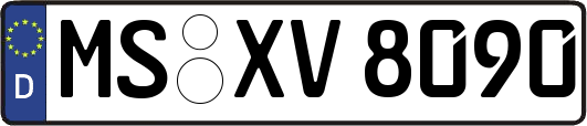 MS-XV8090