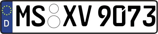 MS-XV9073