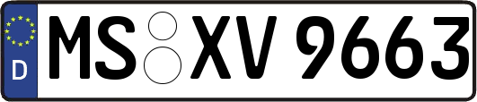MS-XV9663