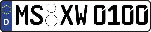 MS-XW0100