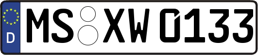 MS-XW0133