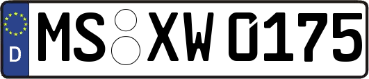 MS-XW0175