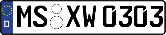 MS-XW0303