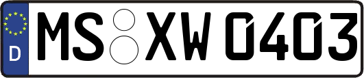 MS-XW0403