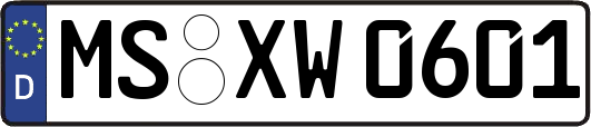 MS-XW0601