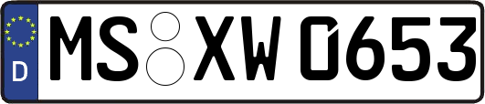 MS-XW0653