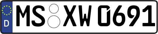 MS-XW0691