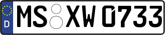 MS-XW0733