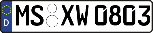 MS-XW0803