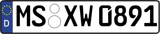MS-XW0891