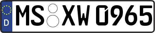 MS-XW0965