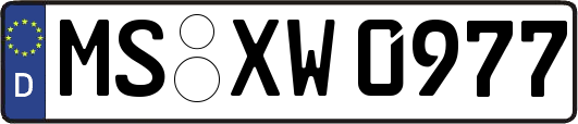 MS-XW0977