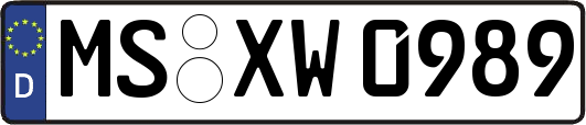 MS-XW0989