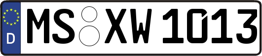 MS-XW1013