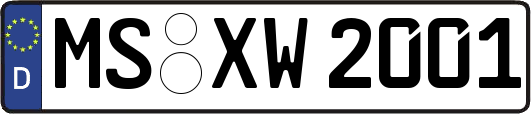 MS-XW2001