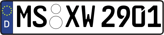 MS-XW2901