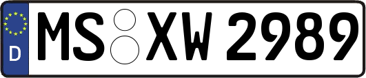 MS-XW2989