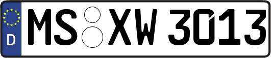 MS-XW3013