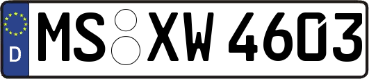 MS-XW4603