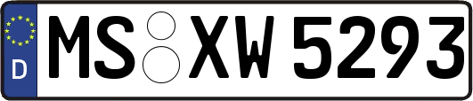MS-XW5293