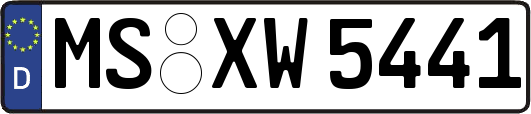 MS-XW5441