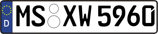 MS-XW5960