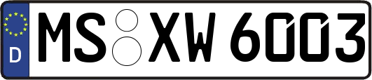MS-XW6003