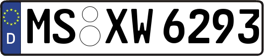 MS-XW6293