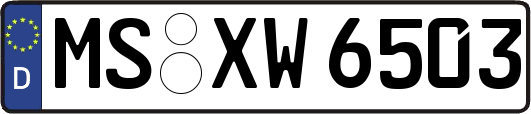 MS-XW6503