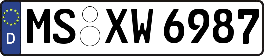 MS-XW6987