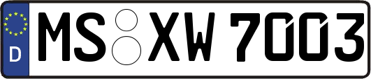 MS-XW7003