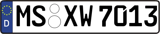 MS-XW7013