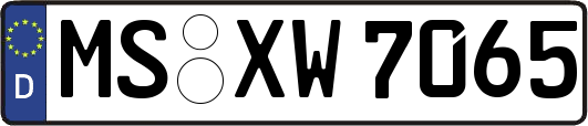 MS-XW7065