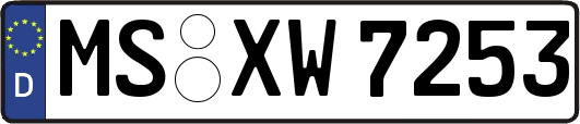 MS-XW7253