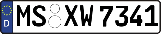 MS-XW7341